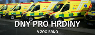 Dny pro hrdiny